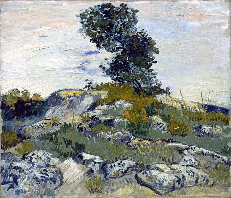 Głazy i dąb   Vincent Van Gogh