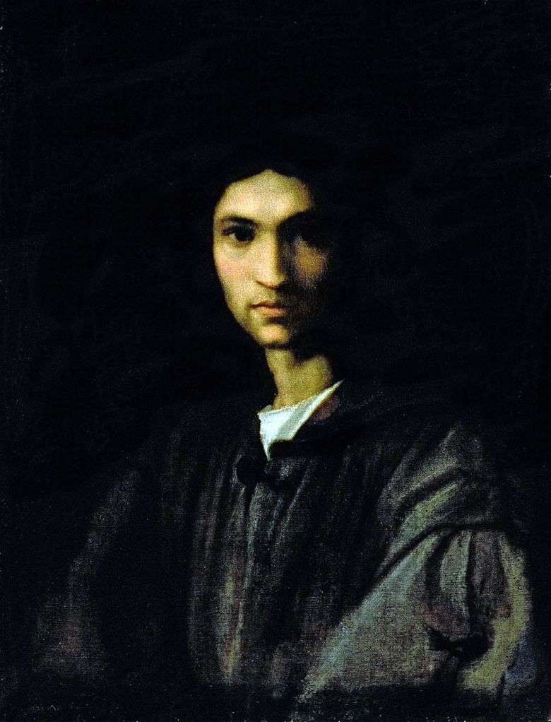Portret młodego mężczyzny   Andrea del Sarto