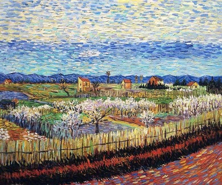 Kwitnące drzewa brzoskwiniowe   Vincent Van Gogh