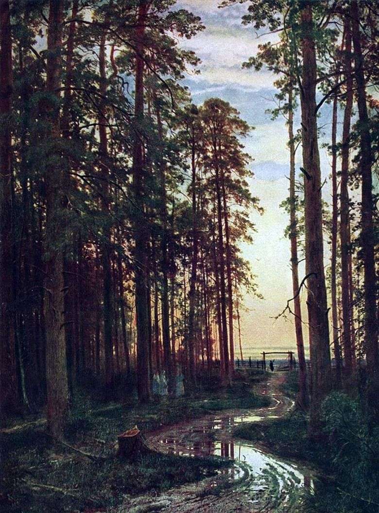 Wieczór w sosnowym lesie   Ivan Shishkin