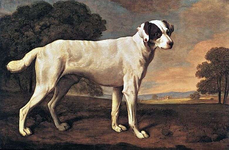 Portret psa w Gatton Park   George Stubbs