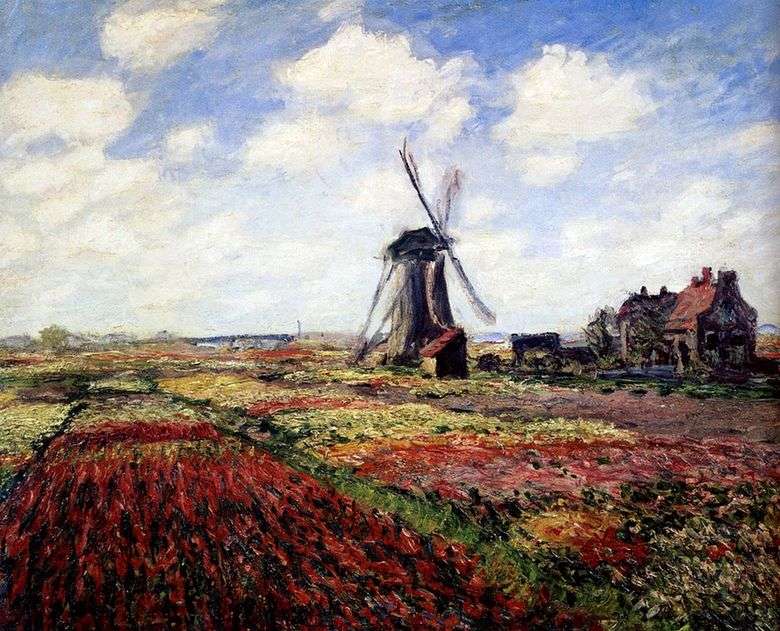 Tulipany Holland   Claude Monet